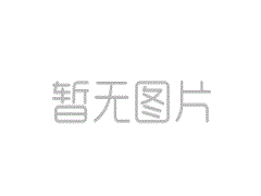 公司招聘